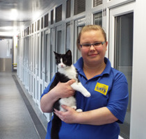 Claire Frangleton, Cats Protection - Warrington Adoption Centre, Cheshire