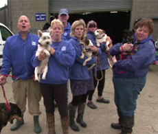 Halfway Home Dog Rescue, Nottinghamshire
