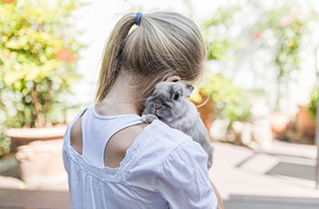 Cheap pet insurance limits. Click to read more