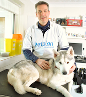 Petplan Vet Brian Faulkner answers your questions about pet health