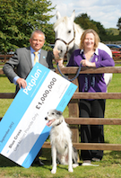 Petplan’s £1 million gift for rescue animals