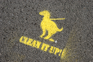 Debate: How should we tackle the problem of dog fouling?