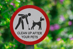 Debate: Use DNA testing to tackle dog fouling? Part 2