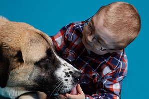 A life-changing friendship story of a boy and his dog