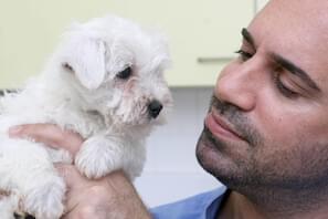 What pet owners should know about lumps 