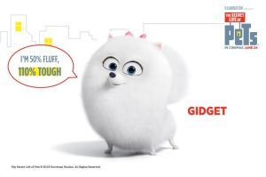 The Secret Life of Pets: What to know if you’re buying a Pomeranian like Gidget