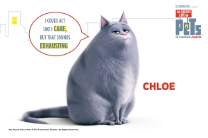 The Secret Life of Pets: Chloe loves her food! How can you keep your cat’s waistline trim?