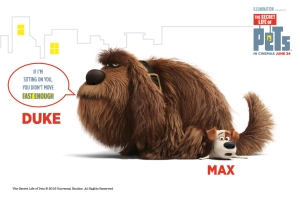 The Secret Life of Pets: Max has to learn to get along with Duke. How should you introduce two dogs to each other for the first time?