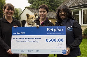 chiltern dog rescue centre