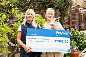 Petplan June prize draw winner: North of England Siamese Cat Rescue