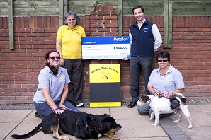 Petplan £500 prize draw winner: Waggy Tails dog rescue