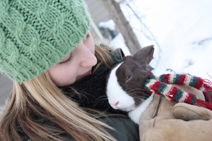 Preparing your rabbit for winter