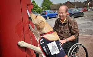 Hounds for Heroes update: Assistance dog bunker enters advanced training