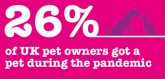 26% of UK pet owners got a pet during the pandemic