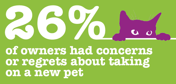1/4 of owners have concerns or regrets about taking on a new pet