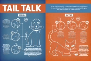 TailTalk