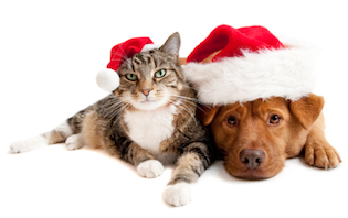 Is it ever a good idea to give a pet as a Christmas present?