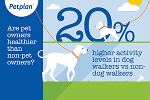 6 Benefits of having a pet