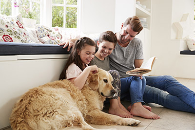 Best dog breeds for families