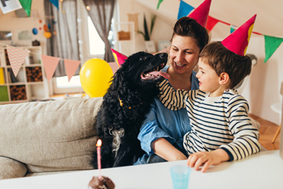 Birthday party best sale for your dog