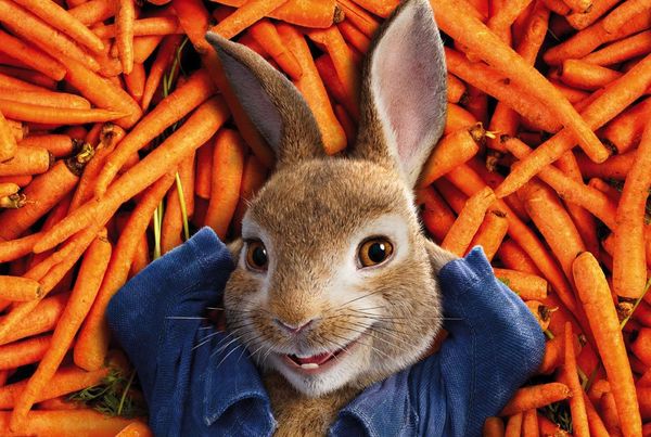 Peter Rabbit – The Peter Rabbit Movie img