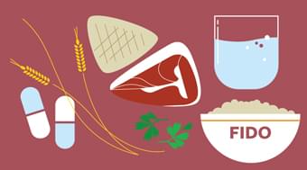 Six simple steps to a balanced diet