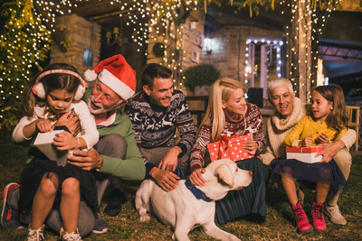 How to involve your pets in the Christmas festivities