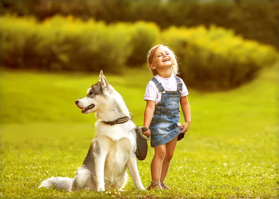 Why Pets and Toddlers are the best of friends