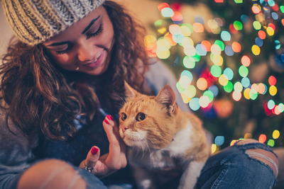 Keeping your pet safe this Christmas