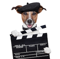 What's your favourite pet film?