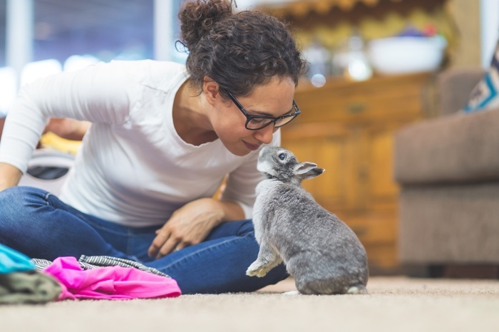 setting up a bunny cage