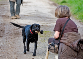 Five great games to play with your dog