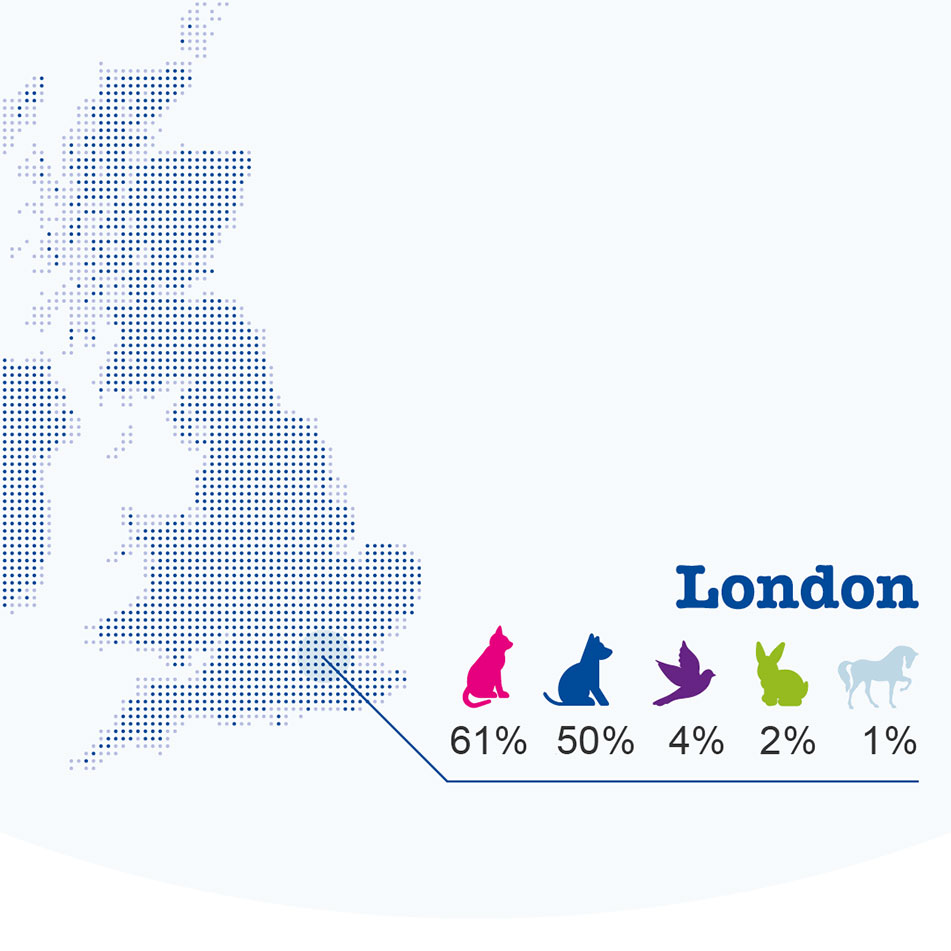 Figure 2: London’s pet preferences ranked img