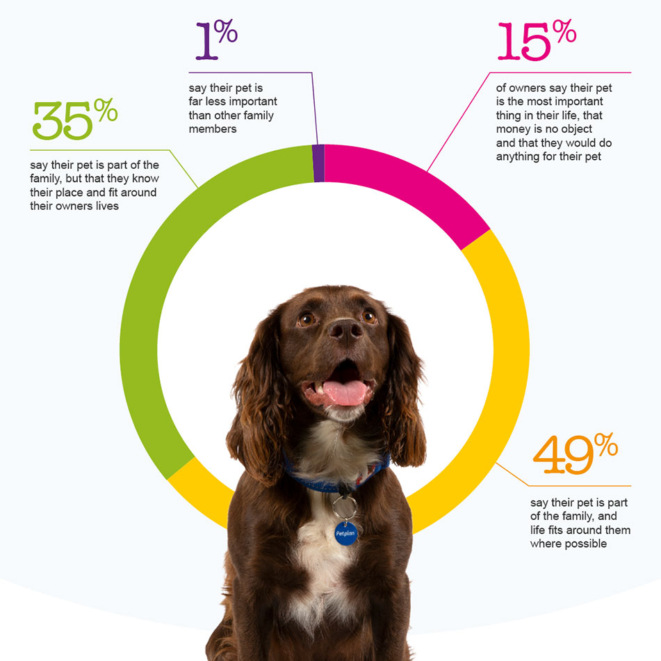 Figure 4: People on pet importance within the family img