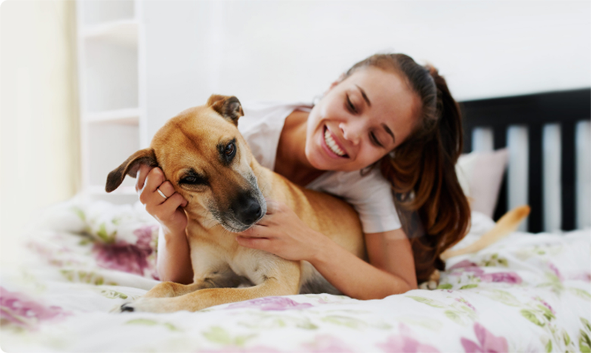 What Makes Petplan Different
