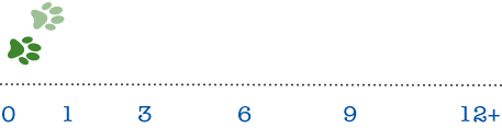 Time Limited chart