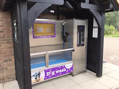 dog wash