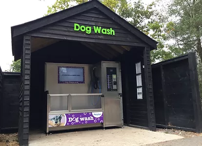 dog wash