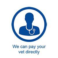 We can pay your vet directly