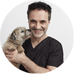 Professor Noel Fitzpatrick