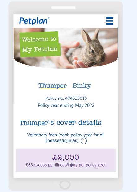 Rabbit insurance UK | Pet insurance quotes for rabbits ...