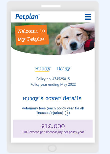 37 Top Photos 24Hr Pet Watch Claim Form / Car Insurance Claim Car Accident Claims Information The General Insurance