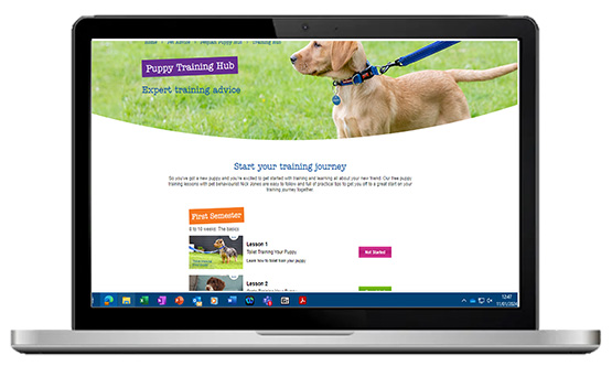 Petplan customer benefits