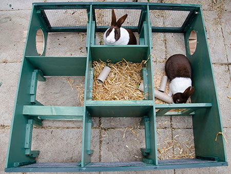 diy rabbit enrichment