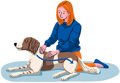 press flat palms against a part of your dog's body