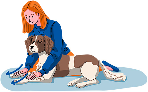 sweep your hand down your dog's front legs