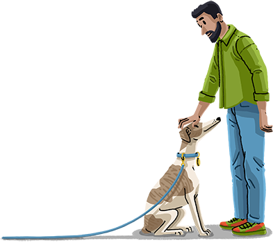 Dog wearing lead for easier behaviour correction