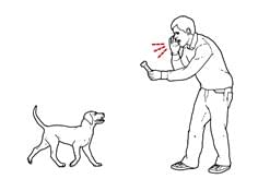 keep puppy training simple