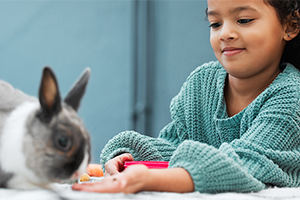 Wild vs domestic rabbits | Petplan Wild vs domestic rabbits | Petplan
