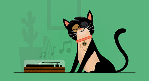 Cats don't like human music — play them this instead